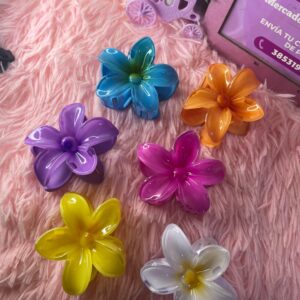 broches